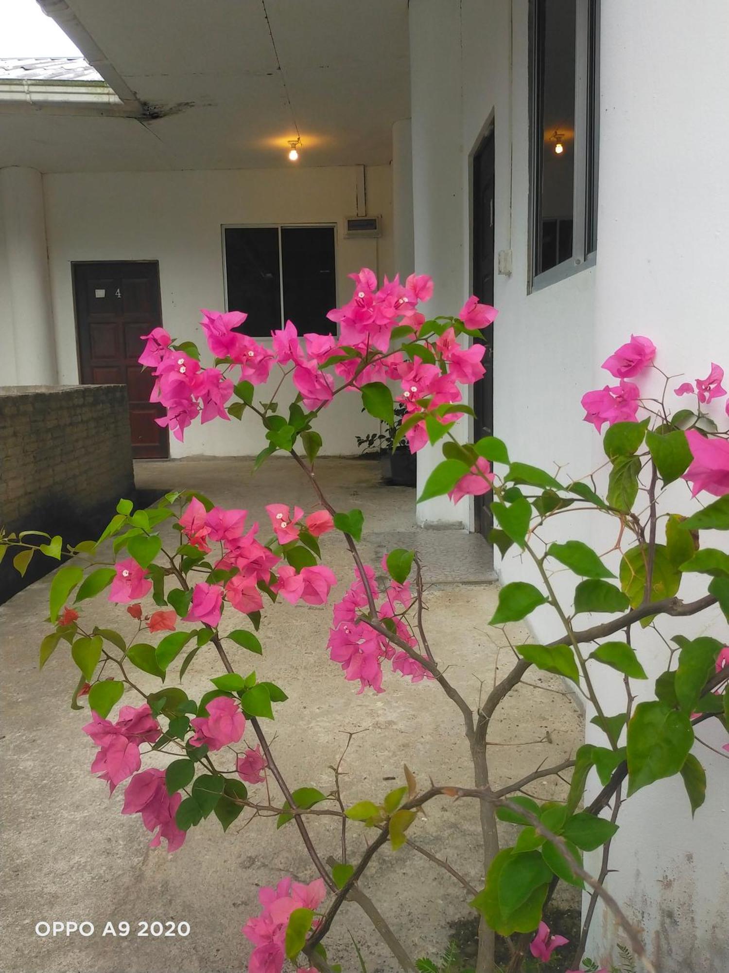 Sukau Tomanggong View Bed & Breakfast Luaran gambar