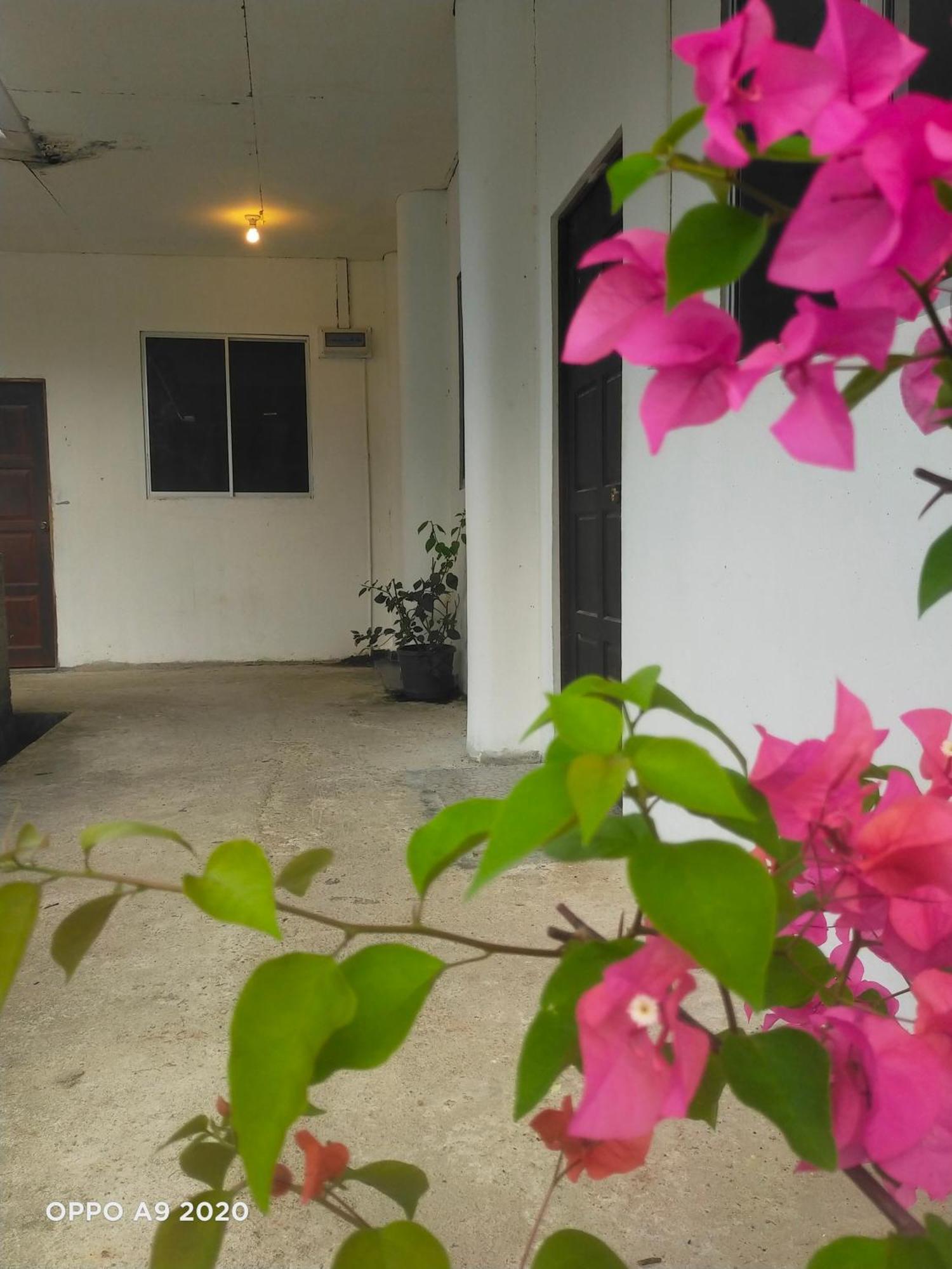 Sukau Tomanggong View Bed & Breakfast Luaran gambar