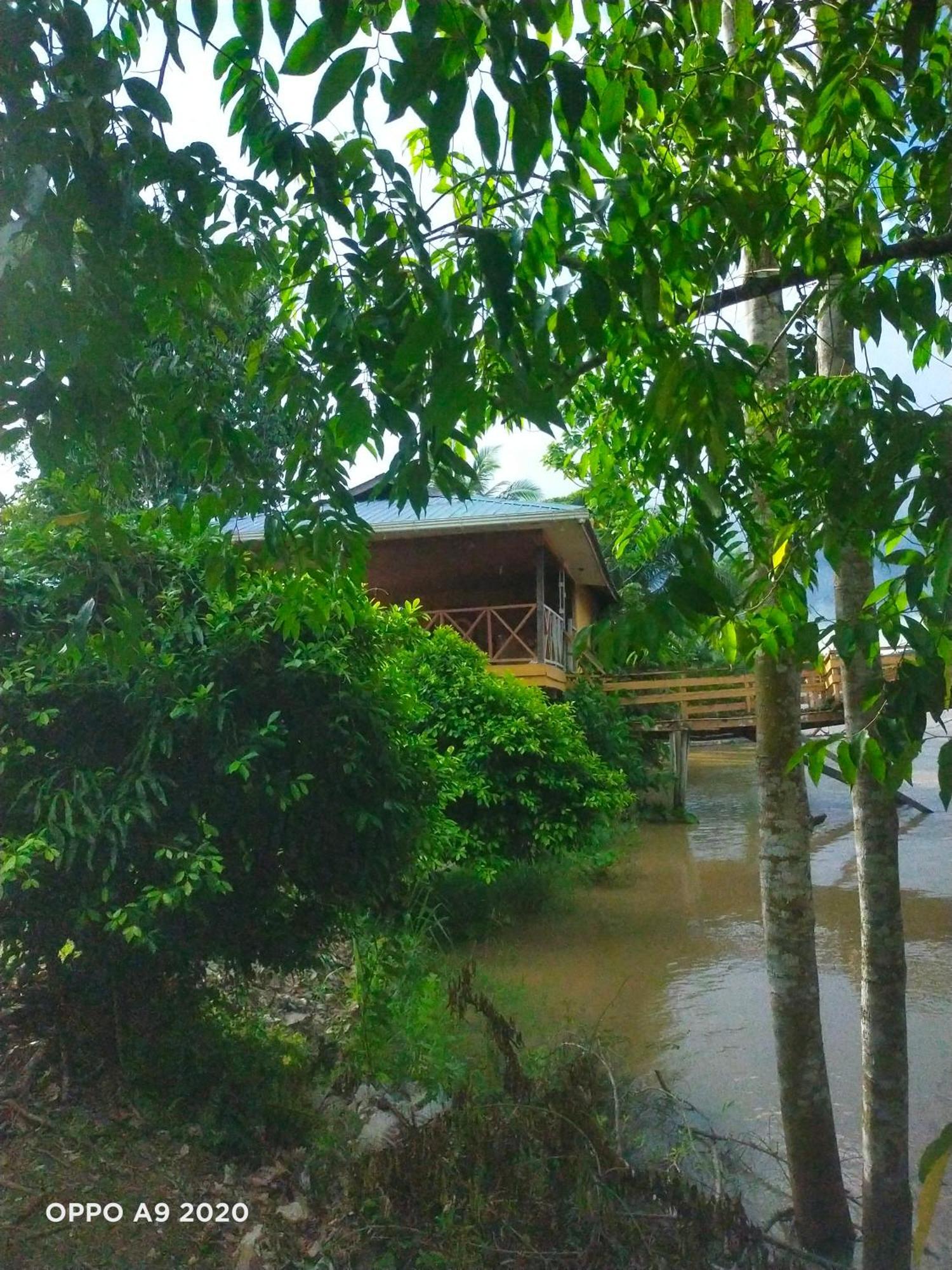 Sukau Tomanggong View Bed & Breakfast Luaran gambar